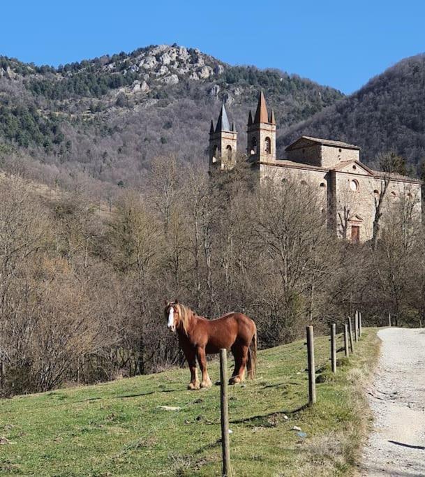 El Mussol De La Vila Camprodon, Balconets Amb Vistes A La Placa Екстериор снимка